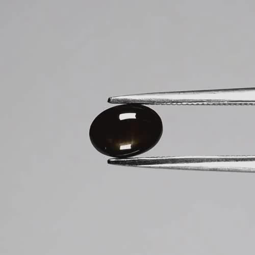 Natural Black Star Sapphire - Oval Cabochon - 1.16 ct (7.0 x 5.0 x 3.0 mm)