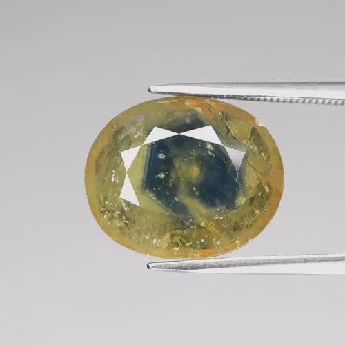 Natural Blue-Yellow Sapphire - Oval Cut - 10.03 ct (15.5 x 12.7 x 5.0 mm)