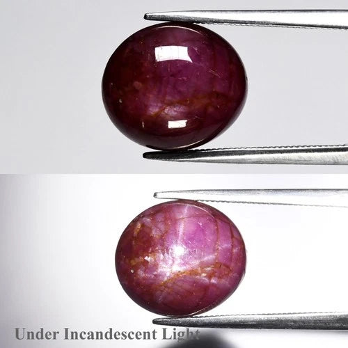 Natural Star Ruby - Oval Cabochon - 9.44 ct (12.8 x 11.3 x 6.1 mm)