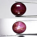 Natural Star Ruby - Oval Cabochon - 9.44 ct (12.8 x 11.3 x 6.1 mm)