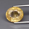 Natural Yellow Sapphire - Oval Cut - 1.95 ct (7.5 x 6.7 x 4.0 mm)
