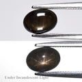 Natural Black Star Sapphire - Oval Cabochon - 1.16 ct (7.0 x 5.0 x 3.0 mm)