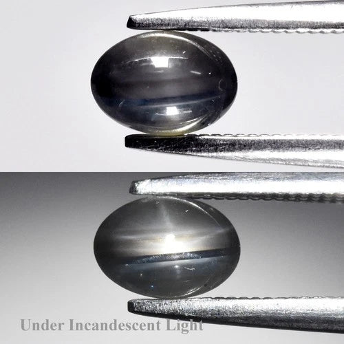 0.89 ct Natural Unheated Black-Blue Star Sapphire Oval Cabochon 6.0 x 4.3 x 3.1 mm – Bangkaja, Chanthaburi