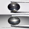 0.89 ct Natural Unheated Black-Blue Star Sapphire Oval Cabochon 6.0 x 4.3 x 3.1 mm – Bangkaja, Chanthaburi