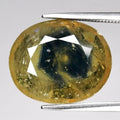 Natural Blue-Yellow Sapphire - Oval Cut - 10.03 ct (15.5 x 12.7 x 5.0 mm)